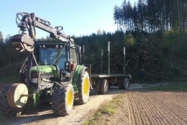 Forstbetrieb Trummer - Waldhelfer &amp; Forstwirtschaftsmeister in Allhaming