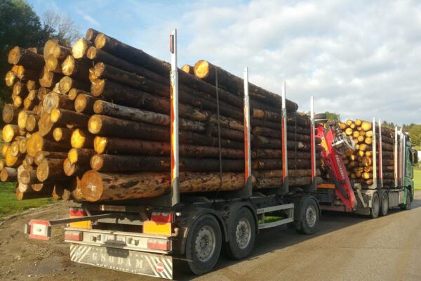 Forstbetrieb Trummer - Waldhelfer &amp; Forstwirtschaftsmeister in Allhaming