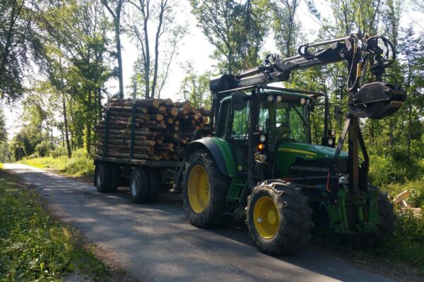 Forstbetrieb Trummer - Waldhelfer &amp; Forstwirtschaftsmeister in Allhaming