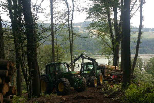 Forstbetrieb Trummer - Waldhelfer &amp; Forstwirtschaftsmeister in Allhaming