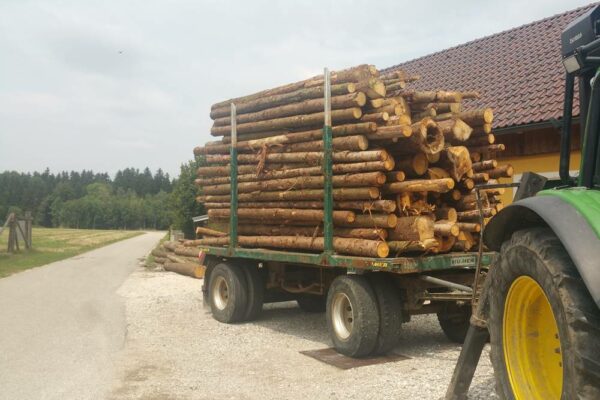 Forstbetrieb Trummer - Waldhelfer &amp; Forstwirtschaftsmeister in Allhaming