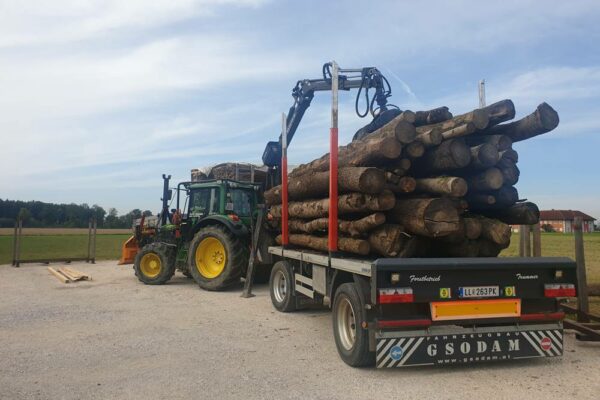 Forstbetrieb Trummer - Waldhelfer &amp; Forstwirtschaftsmeister in Allhaming