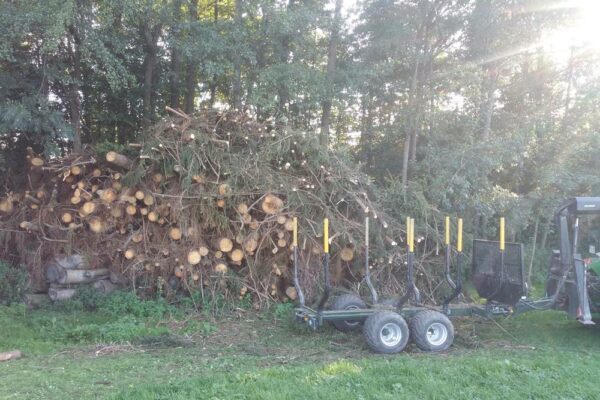 Forstbetrieb Trummer - Waldhelfer &amp; Forstwirtschaftsmeister in Allhaming