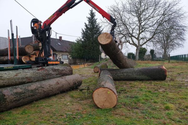 Forstbetrieb Trummer - Waldhelfer &amp; Forstwirtschaftsmeister in Allhaming