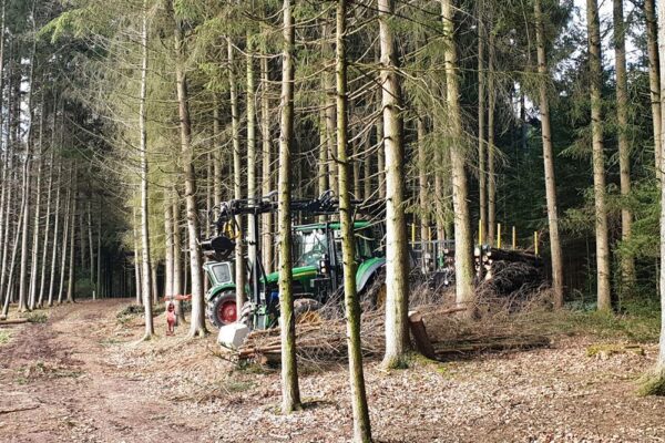 Forstbetrieb Trummer - Waldhelfer &amp; Forstwirtschaftsmeister in Allhaming