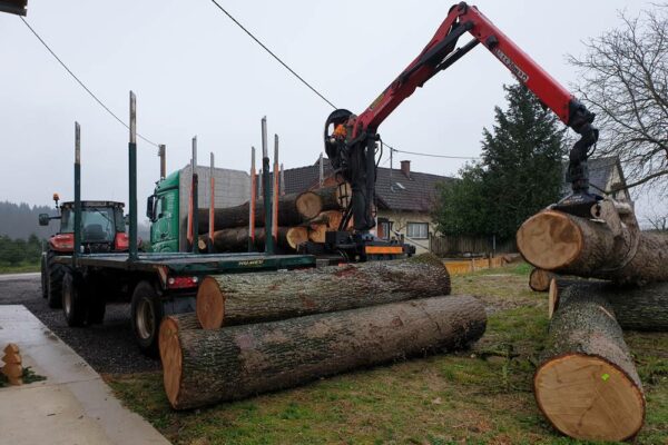 Forstbetrieb Trummer - Waldhelfer &amp; Forstwirtschaftsmeister in Allhaming
