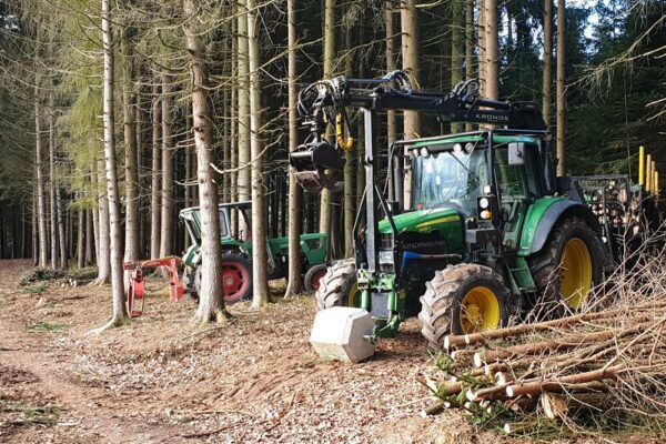 Forstbetrieb Trummer - Waldhelfer &amp; Forstwirtschaftsmeister in Allhaming