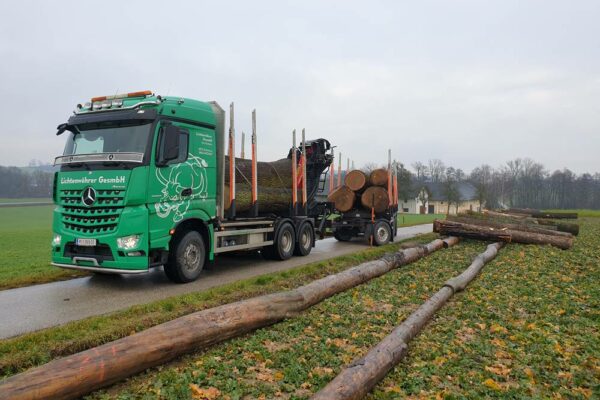 Forstbetrieb Trummer - Waldhelfer &amp; Forstwirtschaftsmeister in Allhaming