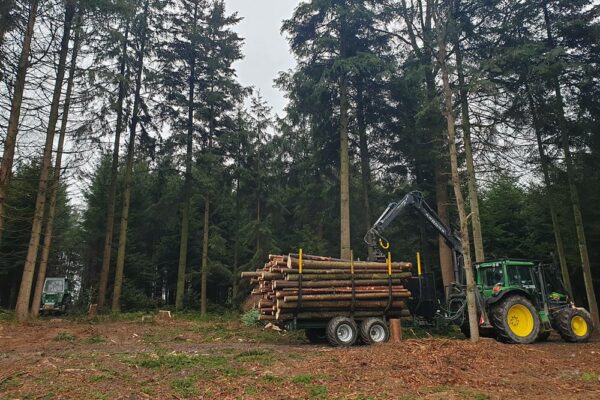 Forstbetrieb Trummer - Waldhelfer &amp; Forstwirtschaftsmeister in Allhaming