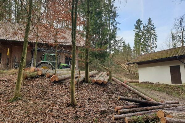 Forstbetrieb Trummer - Waldhelfer &amp; Forstwirtschaftsmeister in Allhaming