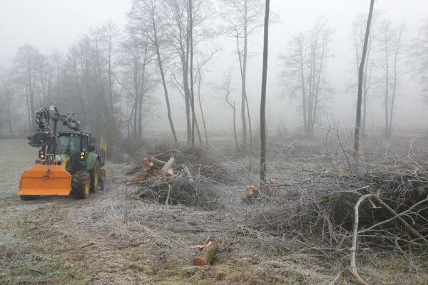 Forstbetrieb Trummer - Waldhelfer &amp; Forstwirtschaftsmeister in Allhaming