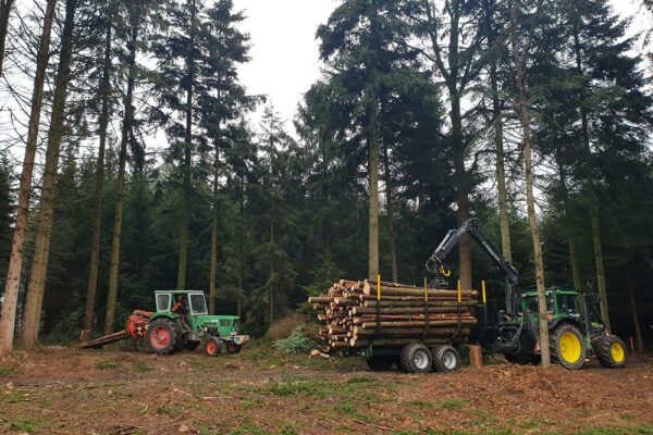 Forstbetrieb Trummer - Waldhelfer &amp; Forstwirtschaftsmeister in Allhaming