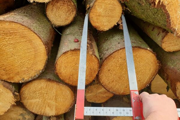 Forstbetrieb Trummer - Waldhelfer &amp; Forstwirtschaftsmeister in Allhaming