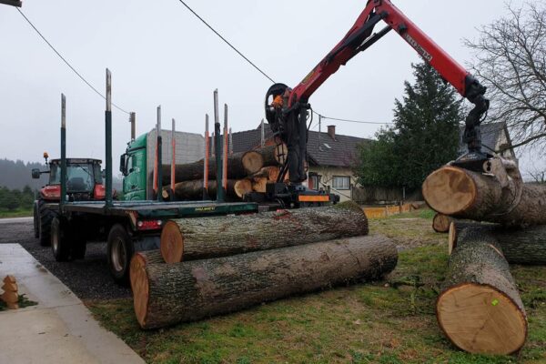 Forstbetrieb Trummer - Waldhelfer & Forstwirtschaftsmeister in Allhaming