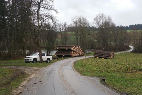 Forstbetrieb Trummer - Waldhelfer &amp; Forstwirtschaftsmeister in Allhaming