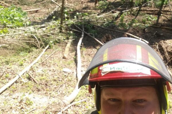 Forstbetrieb Trummer - Waldhelfer &amp; Forstwirtschaftsmeister in Allhaming