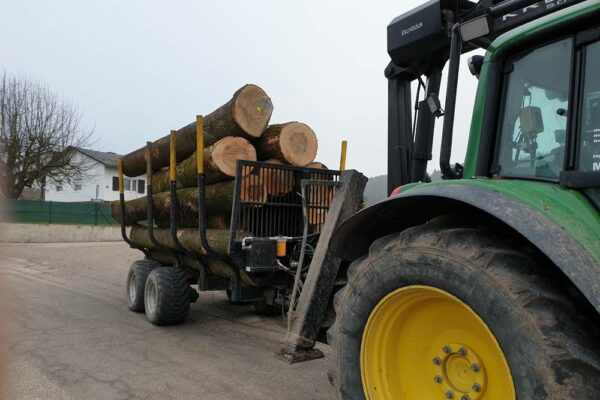 Forstbetrieb Trummer - Waldhelfer &amp; Forstwirtschaftsmeister in Allhaming
