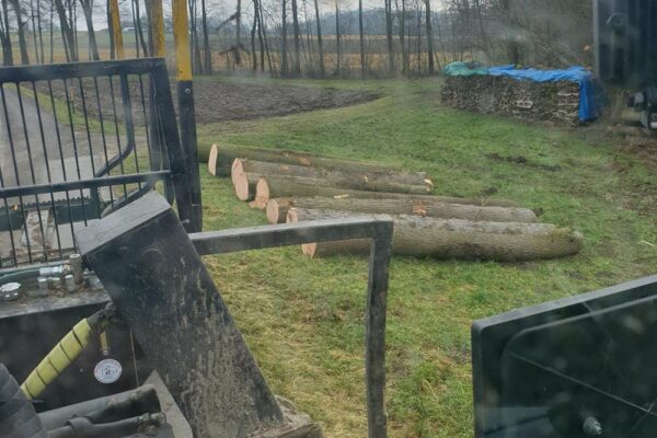 Forstbetrieb Trummer - Waldhelfer &amp; Forstwirtschaftsmeister in Allhaming