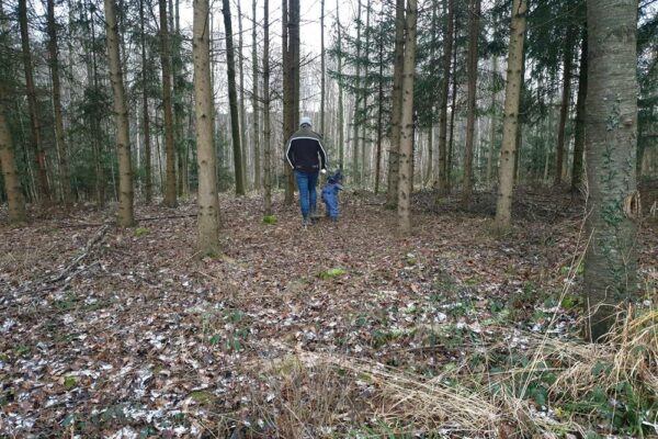 Forstbetrieb Trummer - Waldhelfer &amp; Forstwirtschaftsmeister in Allhaming