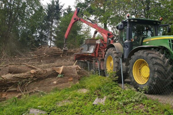 Forstbetrieb Trummer - Waldhelfer &amp; Forstwirtschaftsmeister in Allhaming