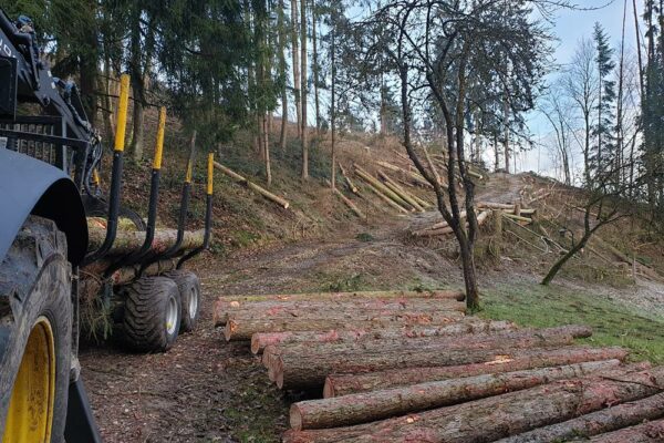 Forstbetrieb Trummer - Waldhelfer &amp; Forstwirtschaftsmeister in Allhaming