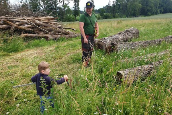 Forstbetrieb Trummer - Waldhelfer &amp; Forstwirtschaftsmeister in Allhaming