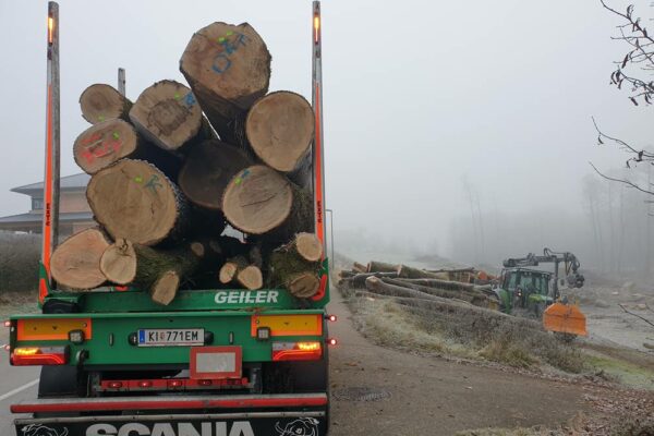 Forstbetrieb Trummer - Waldhelfer &amp; Forstwirtschaftsmeister in Allhaming