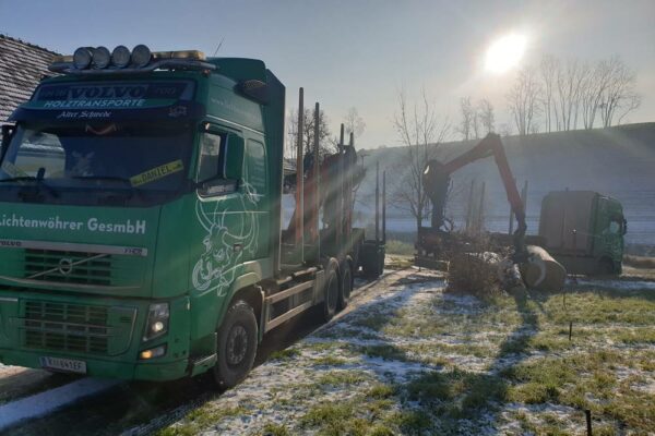 Forstbetrieb Trummer - Waldhelfer &amp; Forstwirtschaftsmeister in Allhaming