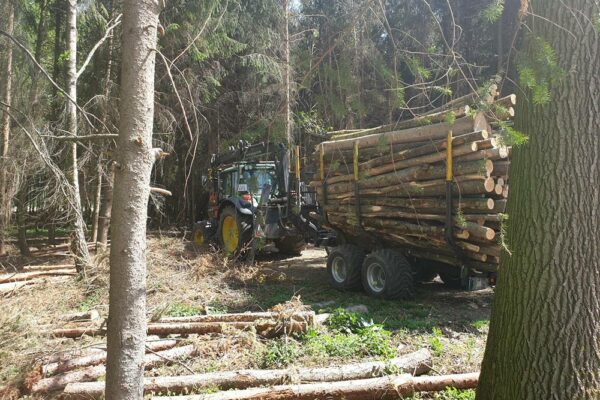 Forstbetrieb Trummer - Waldhelfer &amp; Forstwirtschaftsmeister in Allhaming