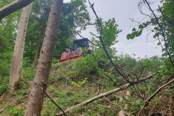 Forstbetrieb Trummer - Waldhelfer &amp; Forstwirtschaftsmeister in Allhaming