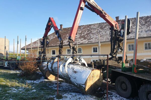 Forstbetrieb Trummer - Waldhelfer &amp; Forstwirtschaftsmeister in Allhaming