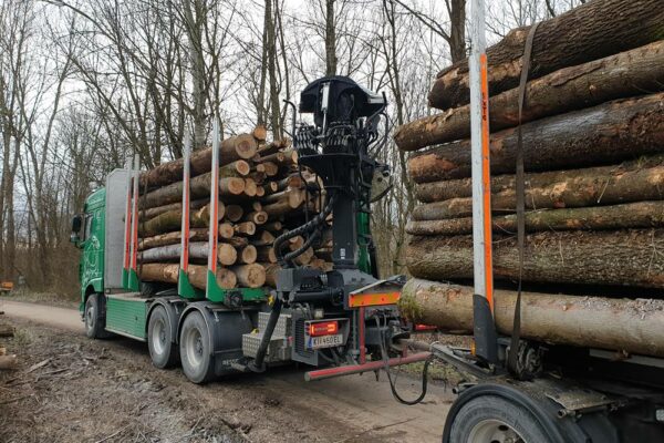 Forstbetrieb Trummer - Waldhelfer &amp; Forstwirtschaftsmeister in Allhaming
