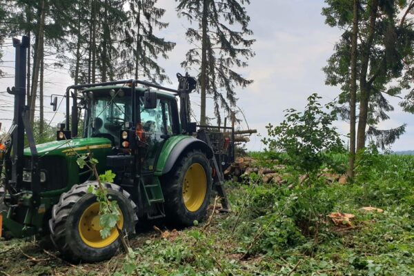 Forstbetrieb Trummer - Waldhelfer &amp; Forstwirtschaftsmeister in Allhaming