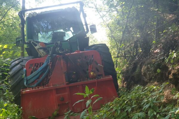 Forstbetrieb Trummer - Waldhelfer &amp; Forstwirtschaftsmeister in Allhaming