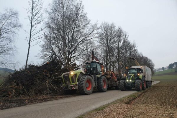 Forstbetrieb Trummer - Waldhelfer &amp; Forstwirtschaftsmeister in Allhaming