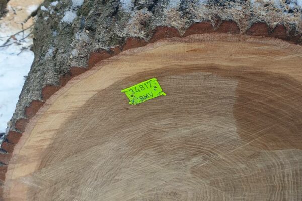 Forstbetrieb Trummer - Waldhelfer &amp; Forstwirtschaftsmeister in Allhaming