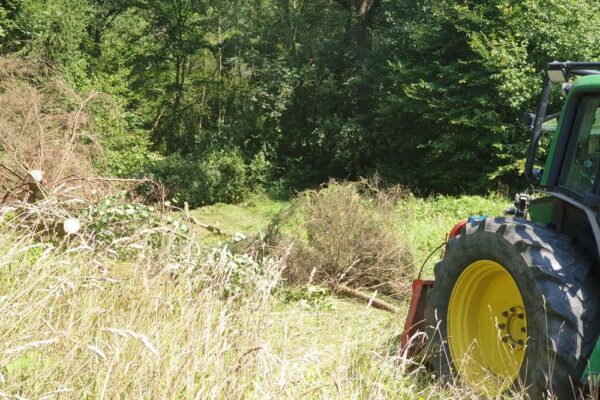 Forstbetrieb Trummer - Waldhelfer &amp; Forstwirtschaftsmeister in Allhaming