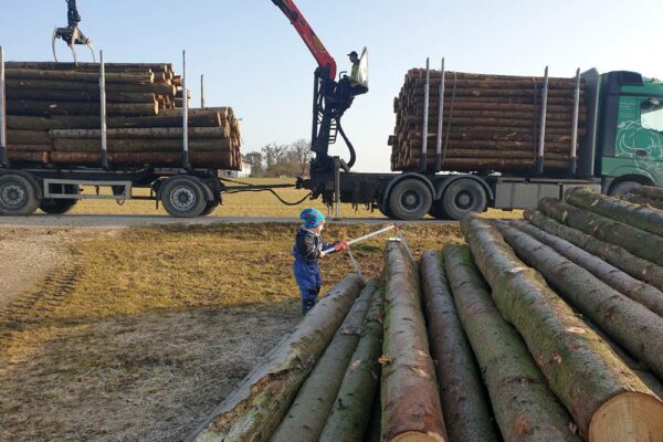 Forstbetrieb Trummer - Waldhelfer &amp; Forstwirtschaftsmeister in Allhaming