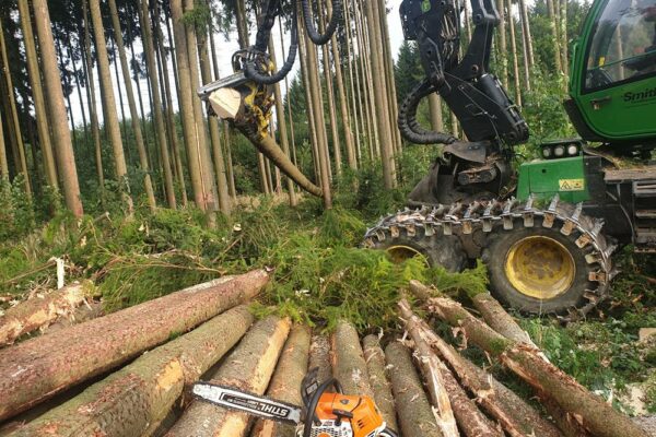 Forstbetrieb Trummer - Waldhelfer &amp; Forstwirtschaftsmeister in Allhaming