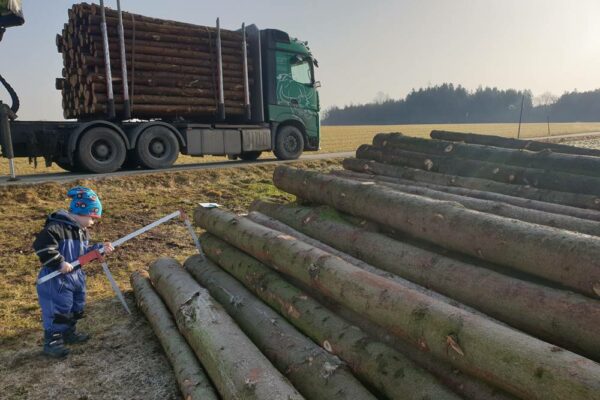 Forstbetrieb Trummer - Waldhelfer &amp; Forstwirtschaftsmeister in Allhaming
