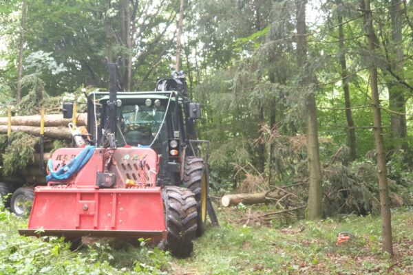 Forstbetrieb Trummer - Waldhelfer &amp; Forstwirtschaftsmeister in Allhaming