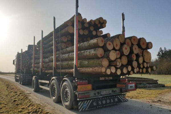 Forstbetrieb Trummer - Waldhelfer &amp; Forstwirtschaftsmeister in Allhaming