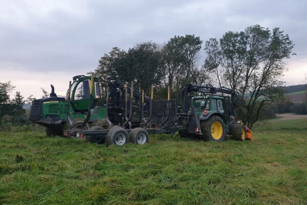 Forstbetrieb Trummer - Waldhelfer &amp; Forstwirtschaftsmeister in Allhaming
