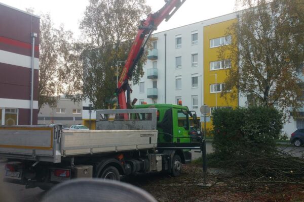 Forstbetrieb Trummer - Waldhelfer &amp; Forstwirtschaftsmeister in Allhaming