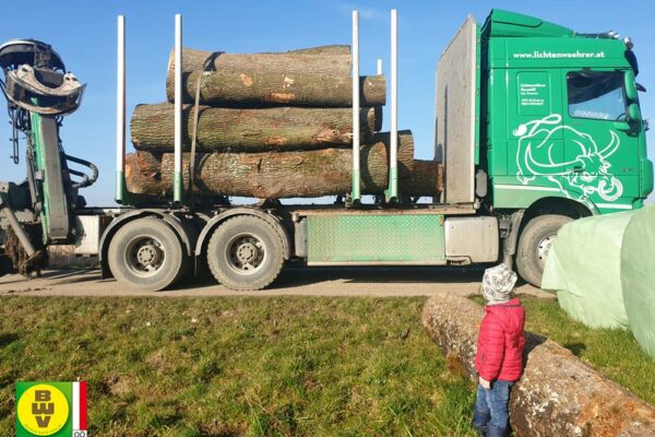 Forstbetrieb Trummer - Waldhelfer &amp; Forstwirtschaftsmeister in Allhaming