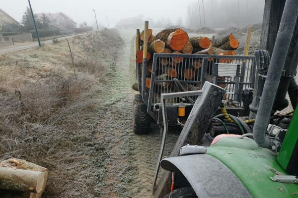 Forstbetrieb Trummer - Waldhelfer &amp; Forstwirtschaftsmeister in Allhaming