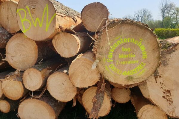 Forstbetrieb Trummer - Waldhelfer &amp; Forstwirtschaftsmeister in Allhaming