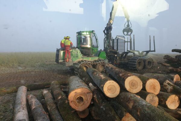 Forstbetrieb Trummer - Waldhelfer &amp; Forstwirtschaftsmeister in Allhaming
