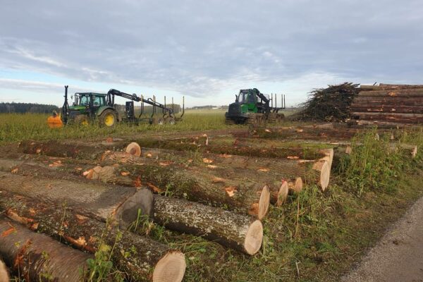 Forstbetrieb Trummer - Waldhelfer &amp; Forstwirtschaftsmeister in Allhaming