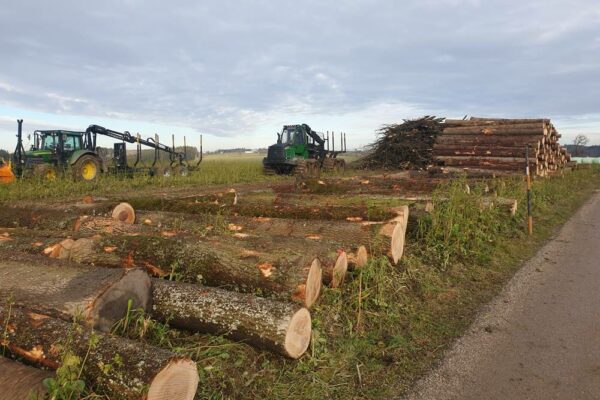 Forstbetrieb Trummer - Waldhelfer &amp; Forstwirtschaftsmeister in Allhaming
